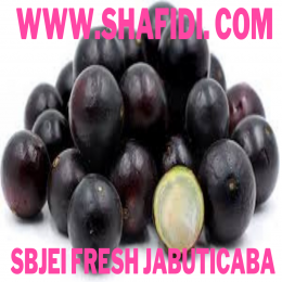 FRESH JABUTICABA